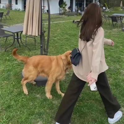 尖叫皇后第一季